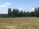 Działka na sprzedaż - Kąty-Wielgi, Strachówka, Wołomiński, 1000 m², 29 000 PLN, NET-115