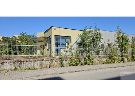 Obiekt do wynajęcia - Sosnowiec, 97 m², 2000 PLN, NET-697