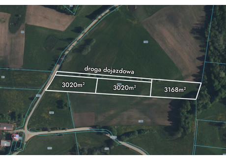 Działka na sprzedaż - Wiżgóry, Wiżajny, Suwalski, 3020 m², 75 500 PLN, NET-170/8652/OGS