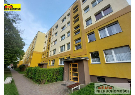 Mieszkanie na sprzedaż - Rezedowa Gumieńce, Szczecin, Szczecińsi, 54 m², 395 000 PLN, NET-4707/ARM/MS-4744