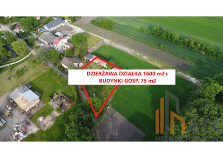 Działka do wynajęcia - Grodziszów, Siechnice, Wrocławski, 1600 m², 9600 PLN, NET-6/8464/OGW