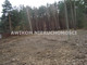Leśne na sprzedaż - Książenice, Grodzisk Mazowiecki, Grodziski, 9600 m², 1 200 000 PLN, NET-AKM-GS-54721-2