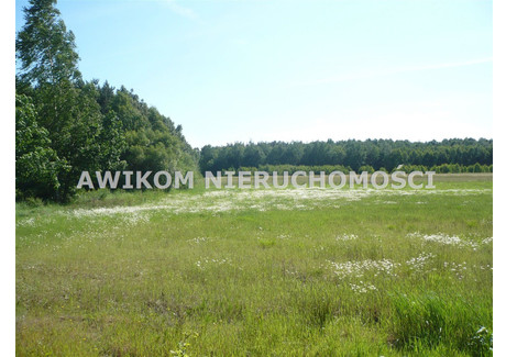 Działka na sprzedaż - Joachimów-Mogiły, Bolimów, Skierniewicki, 3362 m², 85 000 PLN, NET-AKM-GS-54241-120