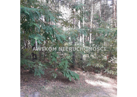 Działka na sprzedaż - Mościska, Grodzisk Mazowiecki, Grodziski, 3105 m², 249 760 PLN, NET-AKM-GS-54026-5