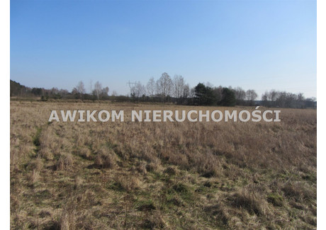 Działka na sprzedaż - Wólka Łasiecka, Bolimów, Skierniewicki, 261 600 m², 2 100 000 PLN, NET-AKM-GS-55070-7