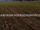 Rolny na sprzedaż - Budy Trzcińskie, Nowy Kawęczyn, Skierniewicki, 6700 m², 335 000 PLN, NET-AKS-GS-52379-22