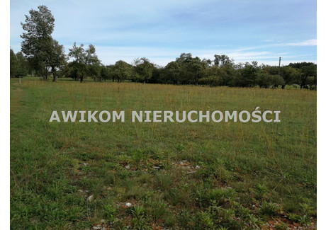 Działka na sprzedaż - Radziejowice, Żyrardowski, 23 494 m², 1 300 000 PLN, NET-AKM-GS-52014-2