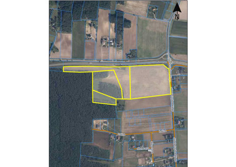 Działka na sprzedaż - Opalenie, Gniew (Gm.), Tczewski (Pow.), 125 781 m², 6 000 000 PLN, NET-207