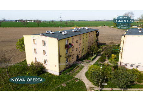 Mieszkanie na sprzedaż - Koryta, Daszyna, Łęczycki, 66,89 m², 170 360 PLN, NET-519440