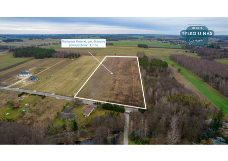 Działka na sprzedaż - Marianów Kołacki, Brzeziny, Brzeziński, 40 700 m², 2 999 999 PLN, NET-446874