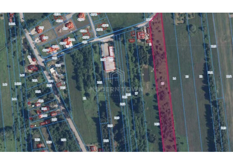 Działka na sprzedaż - Orzeszyn, Piaseczno, Piaseczyński, 14 600 m², 2 774 000 PLN, NET-9/15517/OGS