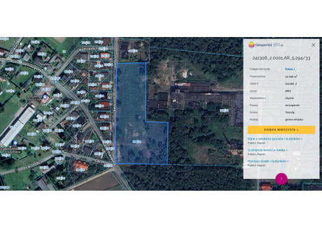 Działka na sprzedaż - Boruszowice, Tworóg, Tarnogórski, 12 008 m², 2 500 000 PLN, NET-118/12083/OGS