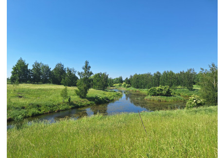 Działka na sprzedaż - Siedliska, Pasym, Szczycieński, 35 899 m², 1 430 000 PLN, NET-117/12083/OGS