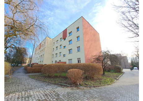 Mieszkanie do wynajęcia - Rolna Katowice, 58 m², 2200 PLN, NET-75/12083/OMW