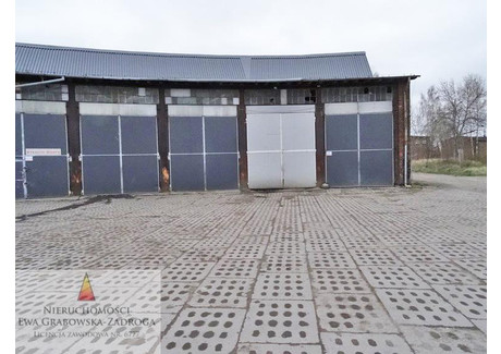 Magazyn do wynajęcia - SIENNICKA Przeróbka, Gdańsk, 300 m², 11 000 PLN, NET-GE01209