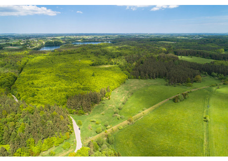 Działka na sprzedaż - Kościelna Prokowo, Kartuzy, Kartuski, 1000 m², 105 000 PLN, NET-24/10940/OGS