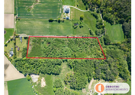 Działka na sprzedaż - Milwino, Luzino, Wejherowski, 39 239 m², 1 490 000 PLN, NET-229/8976/OGS