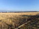 Rolny na sprzedaż - Grobla Zawiercie, Zawierciański (pow.), 133 600 m², 6 680 000 PLN, NET-PZ406