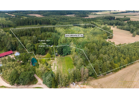 Działka na sprzedaż - Miszkieniki Wielkie, Szudziałowo, Sokólski, 89 000 m², 539 000 PLN, NET-AMBS-GS-858