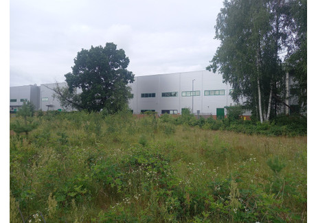 Działka na sprzedaż - Wólka Kosowska, Lesznowola, Piaseczyński, 5200 m², 1 248 000 PLN, NET-33/14848/OGS