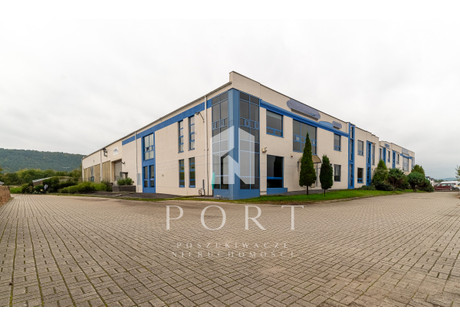 Biuro do wynajęcia - Hutnicza Cisowa, Gdynia, 377 m², 15 000 PLN, NET-PN523553