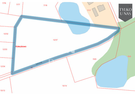 Działka na sprzedaż - Saturna Koleczkowo, Szemud, Wejherowski, 9291,48 m², 1 900 000 PLN, NET-PN538433