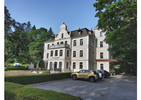 Hotel na sprzedaż - Duszniki-Zdrój, Kłodzki (Pow.), 1325 m², 9 700 000 PLN, NET-166