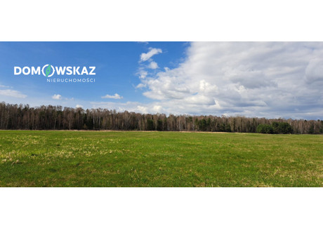 Działka na sprzedaż - Brudzowice, Siewierz, Będziński, 12 228 m², 590 000 PLN, NET-DOM818407