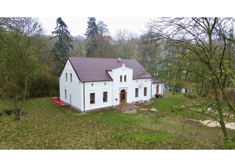 Dom na sprzedaż - Bławaty, Strzelno, Mogileński, 416 m², 1 250 000 PLN, NET-3/16544/ODS