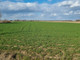 Rolny na sprzedaż - Łempino, Raciąż (Gm.), Płoński (Pow.), 118 400 m², 1 200 000 PLN, NET-156