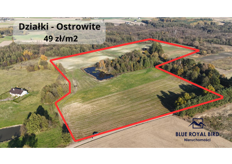 Działka na sprzedaż - Ostrowite, Lipno, Lipnowski, 1000 m², 49 000 PLN, NET-53