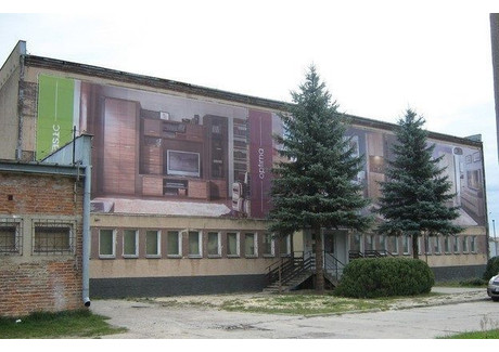 Biuro na sprzedaż - Włodawa, Włodawski, 2532 m², 900 000 PLN, NET-892358