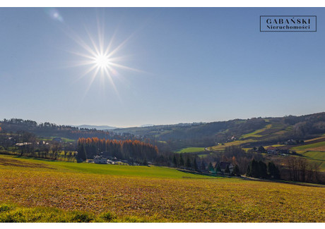 Działka na sprzedaż - Zborowice, Ciężkowice (Gm.), Tarnowski (Pow.), 86 000 m², 299 000 PLN, NET-30/GBN/DZS-112