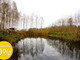 Leśne na sprzedaż - Annopol, Żmudź, Chełmski, 26 700 m², 149 000 PLN, NET-11/14509/OGS