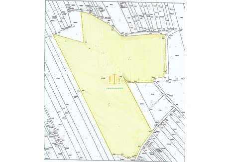 Działka na sprzedaż - Strzyżowice, Psary, Będziński, 28 000 m², 4 490 000 PLN, NET-902947