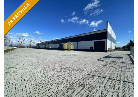 Magazyn do wynajęcia - Jelcz-Laskowice, Oławski, 1500 m², 42 000 PLN, NET-613013