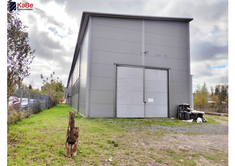 Magazyn na sprzedaż - Częstochowa, Częstochowa M., 300 m², 8000 PLN, NET-KABE-HS-251