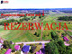 Działka na sprzedaż - Klepaczka, Starcza, Częstochowski, 1034 m², 55 000 PLN, NET-KABE-GS-232