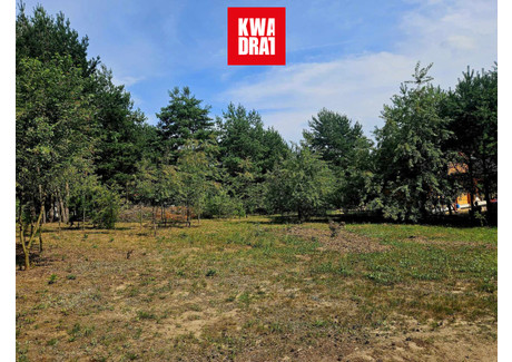 Działka na sprzedaż - Przykory, Pniewy, Grójecki, 1515 m², 399 000 PLN, NET-714749159