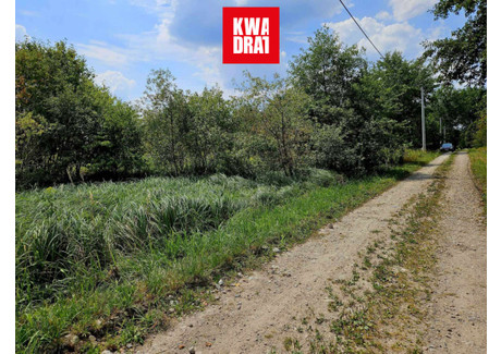 Działka na sprzedaż - Stare Budy, Jaktorów, Grodziski, 9300 m², 372 000 PLN, NET-107262326