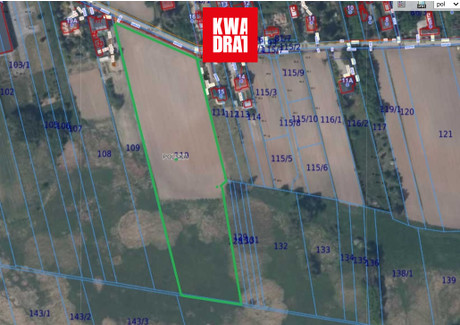 Działka na sprzedaż - Kopytów, Błonie, Warszawski Zachodni, 16 600 m², 2 900 000 PLN, NET-927479