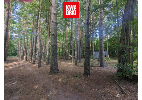 Działka na sprzedaż - Brzozokalska Adamów-Wieś, Radziejowice, Żyrardowski, 4100 m², 475 000 PLN, NET-653030201