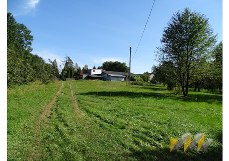 Działka na sprzedaż - Borowina, Konstancin-Jeziorna, Piaseczyński, 11 000 m², 5 000 000 PLN, NET-1/13588/OGS