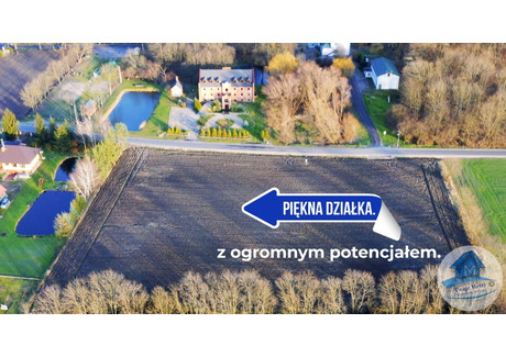 Działka na sprzedaż - Dyblin, Dobrzyń Nad Wisłą, Lipnowski, 9900 m², 149 000 PLN, NET-TWM-GS-1012