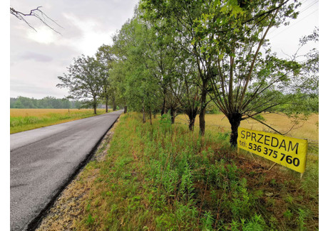 Działka na sprzedaż - Łazisko, Twardogóra (Gm.), Oleśnicki (Pow.), 7400 m², 299 000 PLN, NET-181