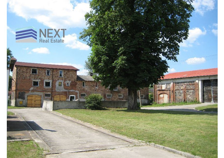 Działka na sprzedaż - Niekarzyn, Skąpe, Świebodziński, 9018 m², 760 000 PLN, NET-3/13487/OGS