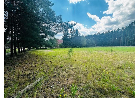 Działka na sprzedaż - Węgielnia Miedzichowo, Nowotomyski, 4100 m², 192 700 PLN, NET-1168080880