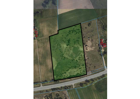 Działka na sprzedaż - Wólka, Skępe (Gm.), Lipnowski (Pow.), 20 815 m², 79 350 PLN, NET-35