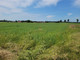 Rolny na sprzedaż - Załachowo, Łabiszyn, Żniński, 792 m², 80 000 PLN, NET-SED-GS-222