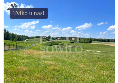 Działka na sprzedaż - Szczęśliwa Nowa Wieś Przywidzka, Przywidz, Gdański, 3000 m², 210 000 PLN, NET-CP1733361